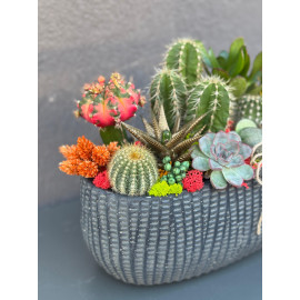 ÖZEL CANLI TERARYUM